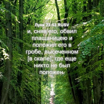 Picture 04 - Луки 23:53 RUSV - и, сняв его, обвил - Bible Verse Picture