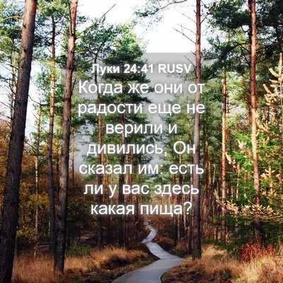 Picture 04 - Луки 24:41 RUSV - Когда же они от радости еще - Bible Verse Picture