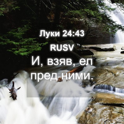 Picture 04 - Луки 24:43 RUSV - И, взяв, ел пред - Bible Verse Picture