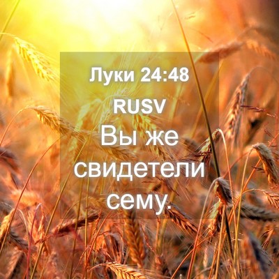 Picture 04 - Луки 24:48 RUSV - Вы же свидетели - Bible Verse Picture