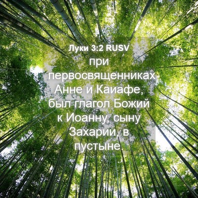 Picture 04 - Луки 3:2 RUSV - при первосвященниках Анне - Bible Verse Picture