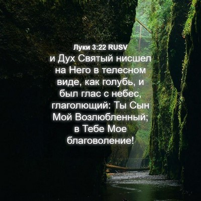 Picture 04 - Луки 3:22 RUSV - и Дух Святый нисшел на Него - Bible Verse Picture
