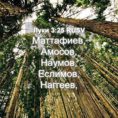 Picture 04 - Луки 3:25 RUSV - Маттафиев, Амосов, Наумов, - Bible Verse Picture