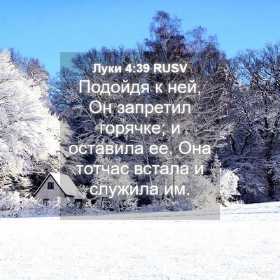 Picture 04 - Луки 4:39 RUSV - Подойдя к ней, Он запретил - Bible Verse Picture