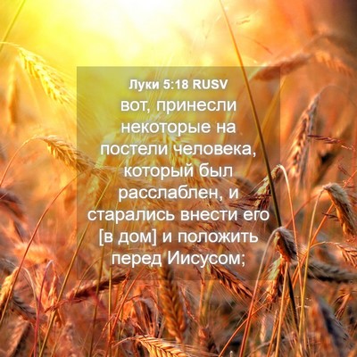Picture 04 - Луки 5:18 RUSV - вот, принесли некоторые на - Bible Verse Picture