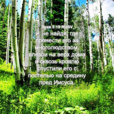 Picture 04 - Луки 5:19 RUSV - и, не найдя, где пронести - Bible Verse Picture