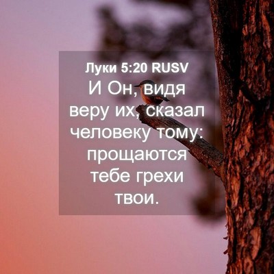 Picture 04 - Луки 5:20 RUSV - И Он, видя веру их, сказал - Bible Verse Picture