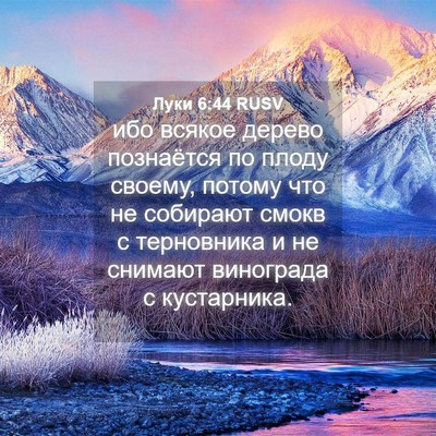 Picture 04 - Луки 6:44 RUSV - ибо всякое дерево - Bible Verse Picture