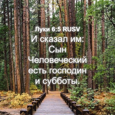 Picture 04 - Луки 6:5 RUSV - И сказал им: Сын - Bible Verse Picture