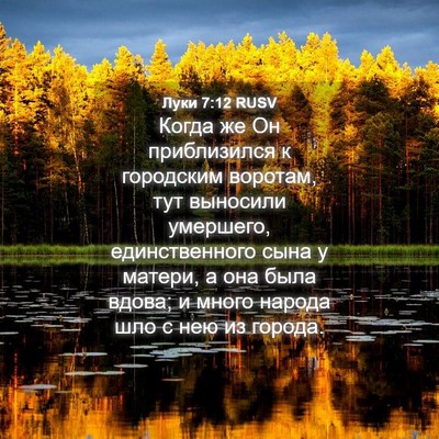 Picture 04 - Луки 7:12 RUSV - Когда же Он приблизился к - Bible Verse Picture