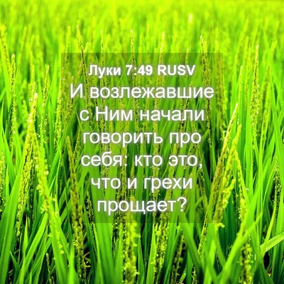 Picture 04 - Луки 7:49 RUSV - И возлежавшие с Ним начали - Bible Verse Picture