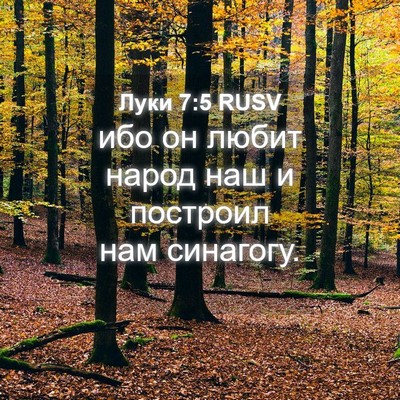 Picture 04 - Луки 7:5 RUSV - ибо он любит народ наш и - Bible Verse Picture