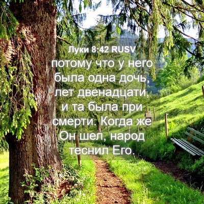 Picture 04 - Луки 8:42 RUSV - потому что у него была одна - Bible Verse Picture