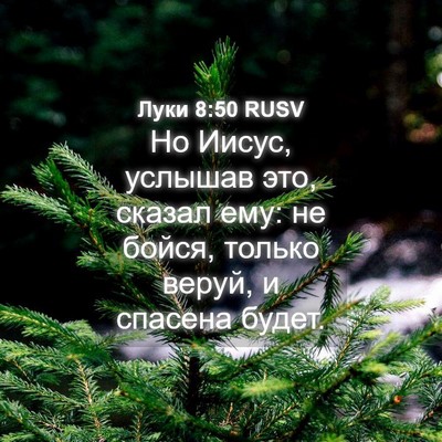 Picture 04 - Луки 8:50 RUSV - Но Иисус, услышав это, - Bible Verse Picture