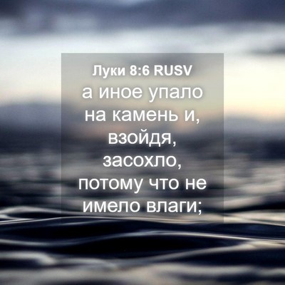 Picture 04 - Луки 8:6 RUSV - а иное упало на камень и, - Bible Verse Picture