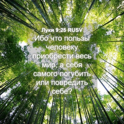 Picture 04 - Луки 9:25 RUSV - Ибо что пользы человеку - Bible Verse Picture