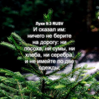 Picture 04 - Луки 9:3 RUSV - И сказал им: ничего не - Bible Verse Picture