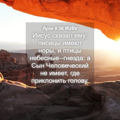 Picture 04 - Луки 9:58 RUSV - Иисус сказал ему: лисицы - Bible Verse Picture