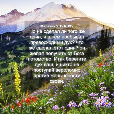 Picture 04 - Малахия 2:15 RUSV - Но не сделал ли того же - Bible Verse Picture