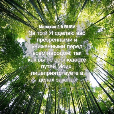 Picture 04 - Малахия 2:9 RUSV - За то и Я сделаю вас - Bible Verse Picture