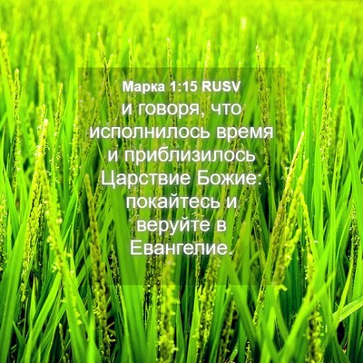 Picture 04 - Марка 1:15 RUSV - и говоря, что исполнилось - Bible Verse Picture