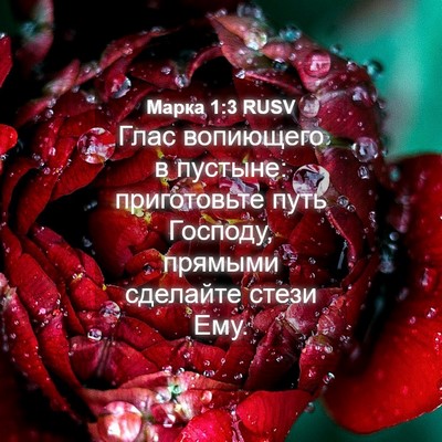 Picture 04 - Марка 1:3 RUSV - Глас вопиющего в пустыне: - Bible Verse Picture