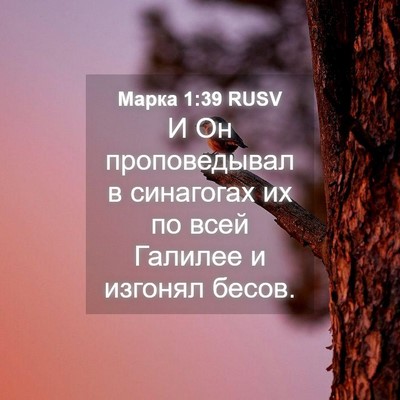 Picture 04 - Марка 1:39 RUSV - И Он проповедывал в - Bible Verse Picture
