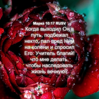 Picture 04 - Марка 10:17 RUSV - Когда выходил Он в путь, - Bible Verse Picture