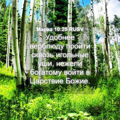Picture 04 - Марка 10:25 RUSV - Удобнее верблюду пройти - Bible Verse Picture