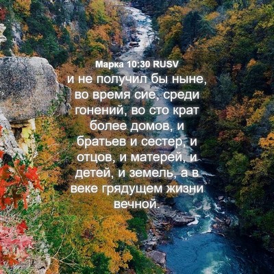 Picture 04 - Марка 10:30 RUSV - и не получил бы ныне, во - Bible Verse Picture