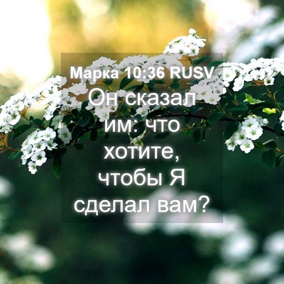 Picture 04 - Марка 10:36 RUSV - Он сказал им: что хотите, - Bible Verse Picture