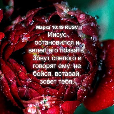Picture 04 - Марка 10:49 RUSV - Иисус остановился и велел - Bible Verse Picture