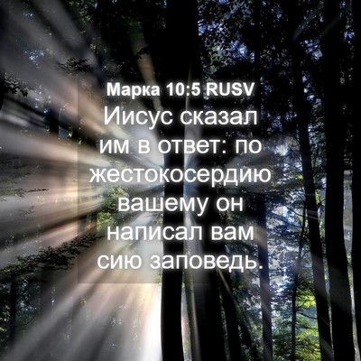 Picture 04 - Марка 10:5 RUSV - Иисус сказал им в ответ: по - Bible Verse Picture