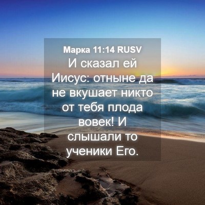 Picture 04 - Марка 11:14 RUSV - И сказал ей Иисус: отныне - Bible Verse Picture