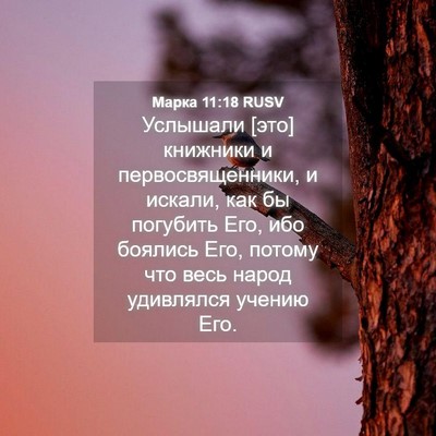 Picture 04 - Марка 11:18 RUSV - Услышали [это] книжники и - Bible Verse Picture