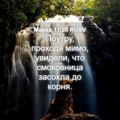 Picture 04 - Марка 11:20 RUSV - Поутру, проходя мимо, - Bible Verse Picture