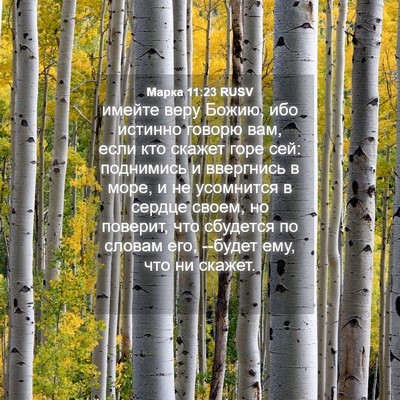 Picture 04 - Марка 11:23 RUSV - имейте веру Божию, ибо - Bible Verse Picture