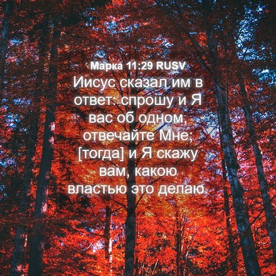 Picture 04 - Марка 11:29 RUSV - Иисус сказал им в ответ: - Bible Verse Picture