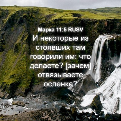 Picture 04 - Марка 11:5 RUSV - И некоторые из стоявших - Bible Verse Picture