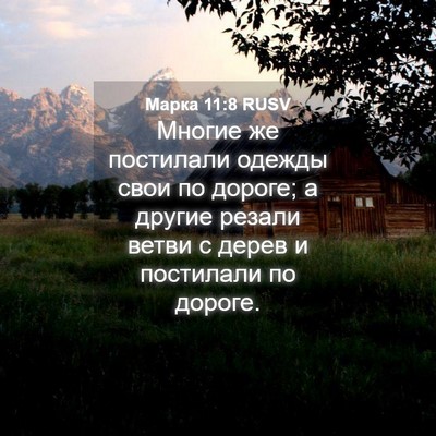Picture 04 - Марка 11:8 RUSV - Многие же постилали одежды - Bible Verse Picture