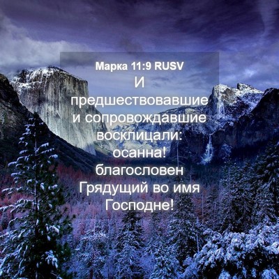Picture 04 - Марка 11:9 RUSV - И предшествовавшие и - Bible Verse Picture