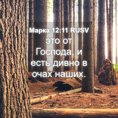 Picture 04 - Марка 12:11 RUSV - это от Господа, и есть - Bible Verse Picture