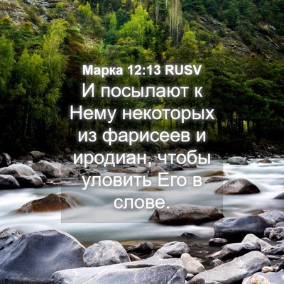 Picture 04 - Марка 12:13 RUSV - И посылают к Нему - Bible Verse Picture