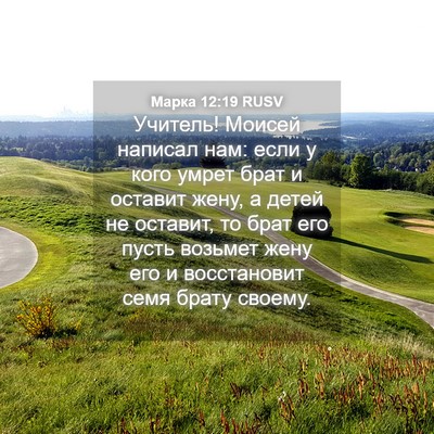 Picture 04 - Марка 12:19 RUSV - Учитель! Моисей написал - Bible Verse Picture