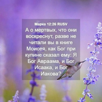 Picture 04 - Марка 12:26 RUSV - А о мертвых, что они - Bible Verse Picture