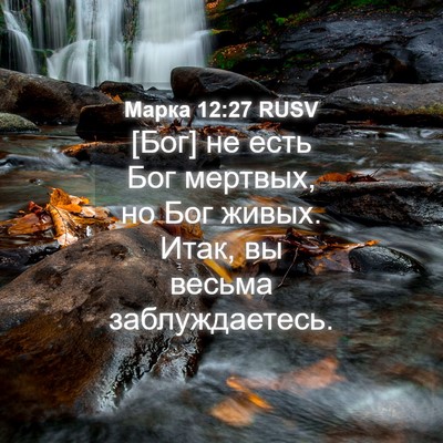 Picture 04 - Марка 12:27 RUSV - [Бог] не есть Бог мертвых, - Bible Verse Picture