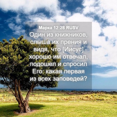 Picture 04 - Марка 12:28 RUSV - Один из книжников, слыша их - Bible Verse Picture