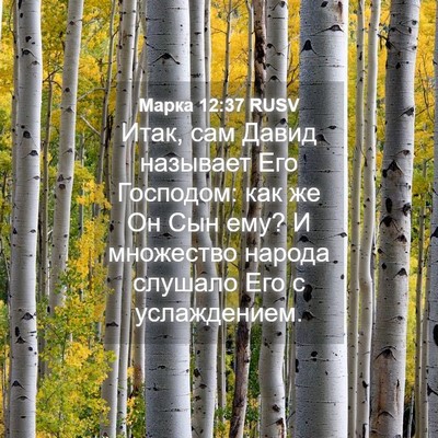 Picture 04 - Марка 12:37 RUSV - Итак, сам Давид называет - Bible Verse Picture