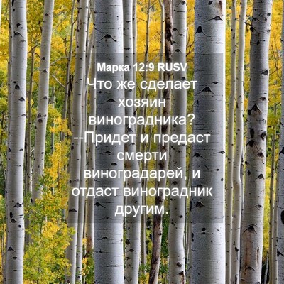 Picture 04 - Марка 12:9 RUSV - Что же сделает хозяин - Bible Verse Picture