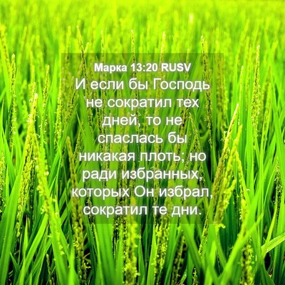 Picture 04 - Марка 13:20 RUSV - И если бы Господь не - Bible Verse Picture